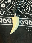 Shell Craved into a tooth Necklace Handmade in Mexico Assorted Colors