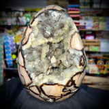 Septarian Egg Geode