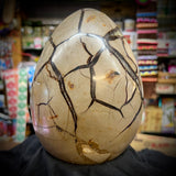 Septarian Egg Geode