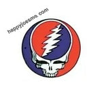 Grateful Dead Steal Your Face Medium Sticker
