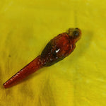 5.5" Glass Parrot Handpipe