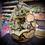 Septarian Egg Geode