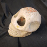 Skull Flute Sculpture