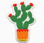 Potted Cactus Patch