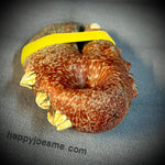 Sandblasted Barn Red W/ Barnacles Claw Handpipe - Mrs Claws