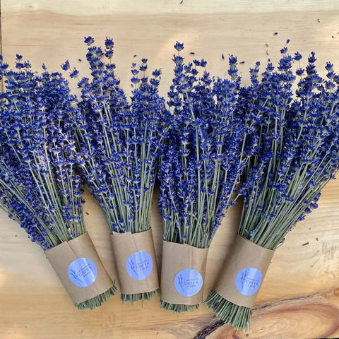 Dried English Lavender Bouquet