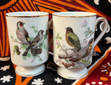 Set of Two Bird Cups