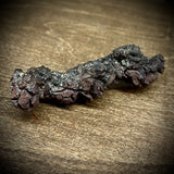 Coprolite Fossil