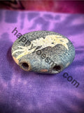 Triceratops Fossil Sandblasted Glass Pendant