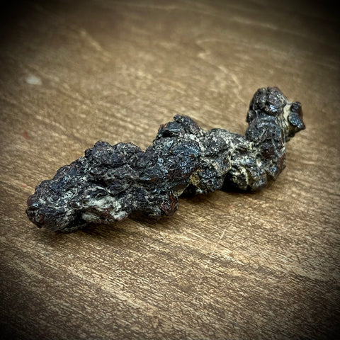 Coprolite Fossil