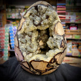 Septarian Egg Geode