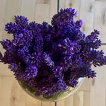 Dried English Lavender Bouquet