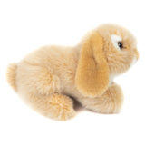 Ram Rabbit Beige-Plush Toy