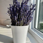 Dried English Lavender Bouquet