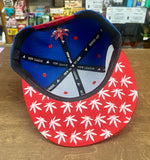 Pot Leaf SnapBack Hat