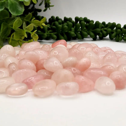 Tumbled Rose Quartz