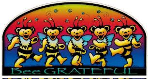 "Bee Grateful " Grateful Dead Dancing Bear Bees Sticker