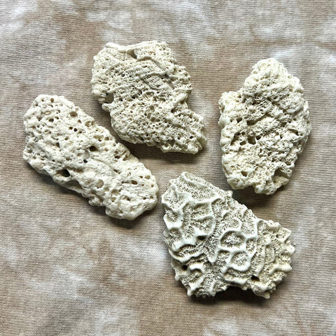 3" 16.5G to 28.0G Coral - 1pc