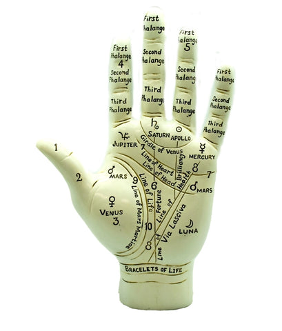 Big Palmistry Hand