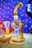 10” Single Perc Two Arm Recycler Waterpipe w/Amber Accents-RS538
