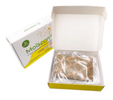 Wisesorb 62% Two-Way Humidity Control Packs | 67 Gram | 5 Pack | Individually Wrapped | Humidifier Packs for Storage Containers