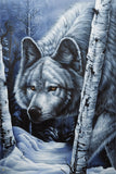 White Wolf By Jenny Newland - 24x36 Poster