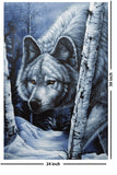 White Wolf By Jenny Newland - 24x36 Poster