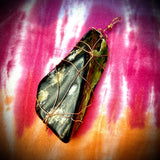 Huge Wire Wrapped Petrified Wood Pendant