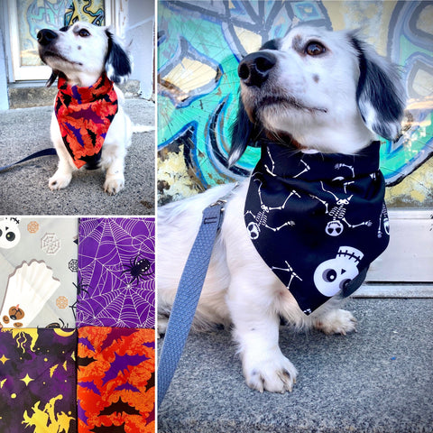 16x31.5” Halloween Themed Doggie Bandana