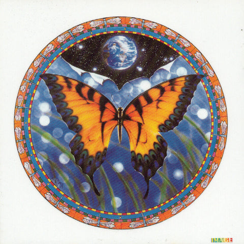 6x6" Earth Butterfly Window Sticker