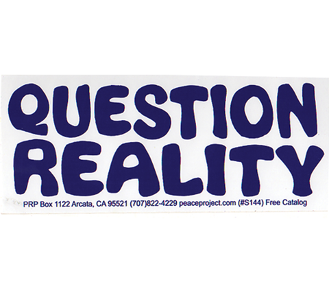 2.5x6.5" Question Reality Bumper Sticker