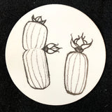 3x3” Round Cactus Sticker