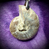 19.25" Ammonite Fossil Cord Necklace