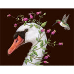 Iris and Stanley Card - Swan & Hummingbird