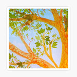 2.75x2.75” Summer Branches (Watercolor) Square Sticker